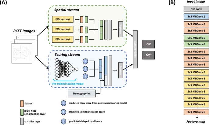 Multi-stream deep learning framework integrating images and feature representations to predict mild cognitive impairment using the rey complex figure test