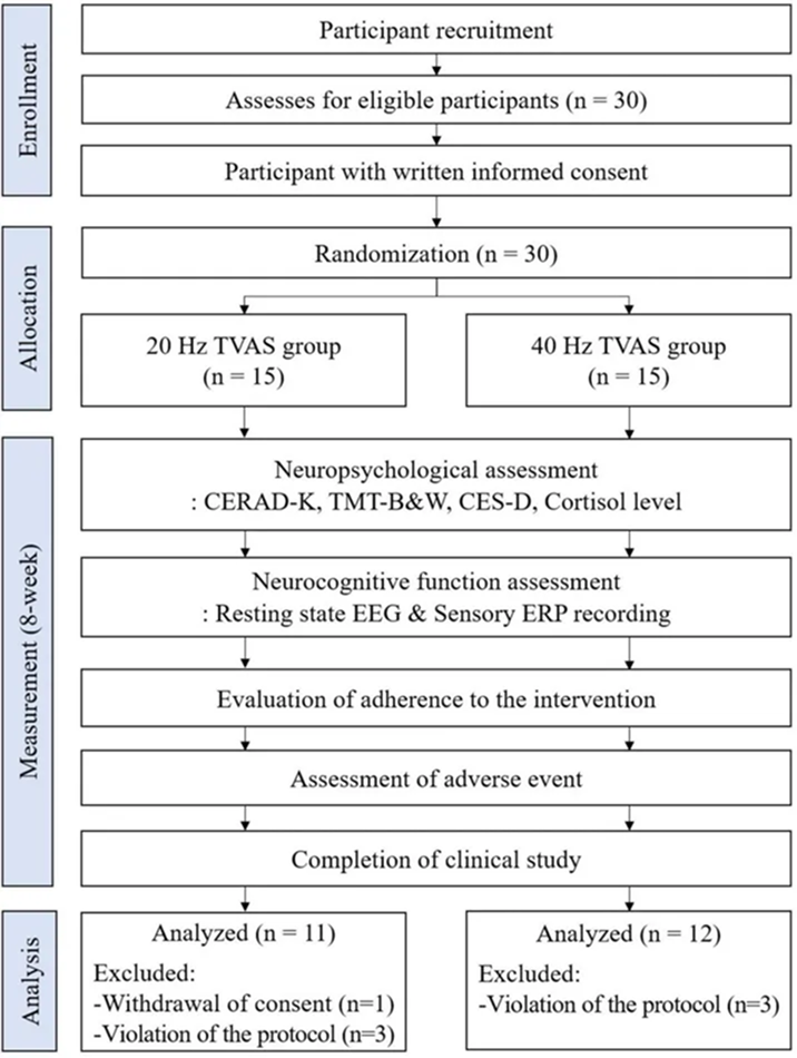 Improvement of neuropsychological and cognitive functions in older adults through transcranial vibroacoustic stimulation: a double blind, randomized, comparative trial